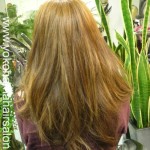 www.yokohamahairsalon.com