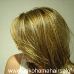 www.yokohamahairsalon.com